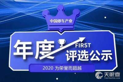 西安艾潤物聯網技術服務有限責任公司及其股東王林祥的工商與風險信息概覽
