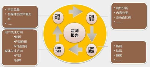 網(wǎng)絡(luò)負(fù)面輿情的演變規(guī)律與監(jiān)測(cè)預(yù)警策略及信息安全軟件開(kāi)發(fā)